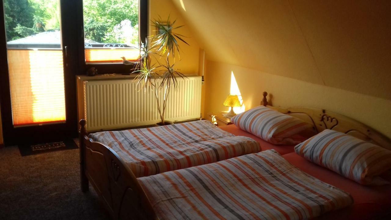 In Boddennaehe Apartment Dierhagen